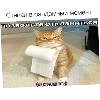👍 emoji ИМБА СМАЙЛИКИ ➡️ @Ctikerubot Telegram sticker 15 of 23