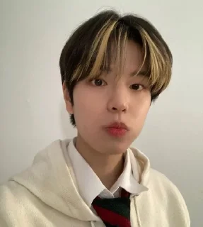 🌟 emoji Стрей Кидс🤓 Telegram sticker 24 of 36