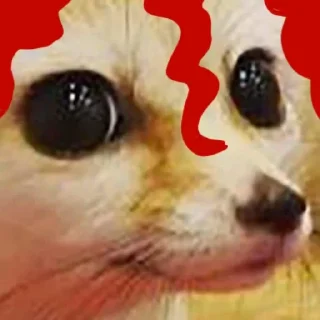 😐 emoji Феньгонёк Telegram sticker 14 of 45