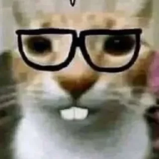 Sticker from Miau 😓