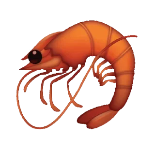 🦐 emoji мишка и дюшка Telegram sticker 21 of 31