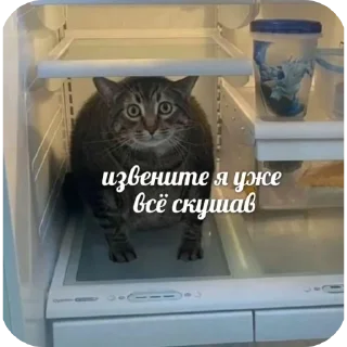 📦 emoji Мои стикеры:3  by @idite_nahyi_blyadi Telegram sticker 16 of 16