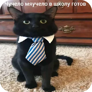 🐱 emoji Мои стикеры:3  by @idite_nahyi_blyadi Telegram sticker 11 of 16