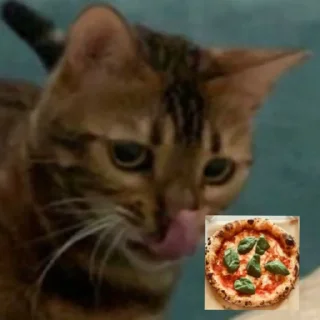 🐱 emoji эсми великая Telegram sticker 15 of 23