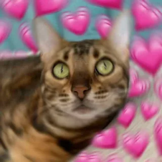 💗 emoji эсми великая Telegram sticker 4 of 23