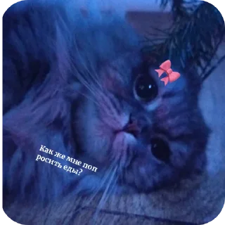 Sticker from БаНдА гЕнИеВ
