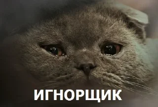 😢 emoji Минусовские стикосы Telegram sticker 19 of 120