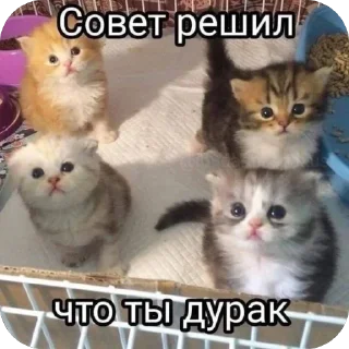 🫥 emoji Минусовские стикосы Telegram sticker 4 of 120