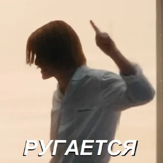 🤬 emoji Шизы Трофима Telegram sticker 23 of 60