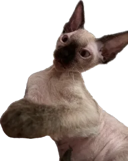 🤯 emoji Каспер Telegram sticker 14 of 56