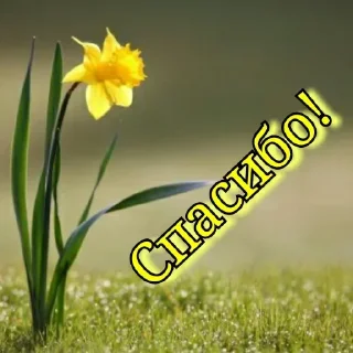 🔆 emoji Больше стиков тут: @stikery4 Telegram sticker 22 of 86