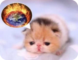 🌟 emoji meoquee is god Telegram sticker 21 of 50
