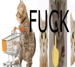 Sticker from meoquee is god