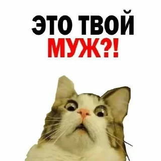 🤢 emoji Больше стикеров 👉🏻 @stickertg4 Telegram sticker 19 of 76