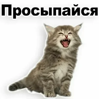 🤗 emoji Больше стикеров 👉🏻 @stickertg4 Telegram sticker 14 of 76