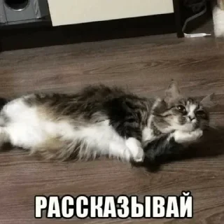 🤭 emoji Больше стикеров 👉🏻 @stickertg4 Telegram sticker 3 of 76
