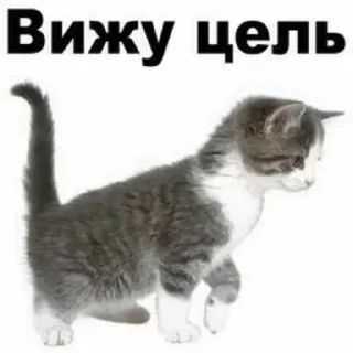 😝 emoji Больше стикеров 👉🏻 @stickertg4 Telegram sticker 6 of 76