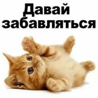 🤪 emoji Больше стикеров 👉🏻 @stickertg4 Telegram sticker 22 of 76