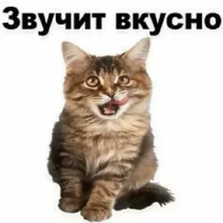 😋 emoji Больше стикеров 👉🏻 @stickertg4 Telegram sticker 23 of 76