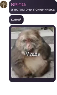 👨‍❤️‍👨 emoji Гитара поко || квартал эмоций pack by @QuotLyBot Telegram sticker 18 of 120