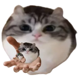 🔁 emoji Шарики , шарики , совсем заебали БЛЯЯЯЯЯЯ Telegram sticker 16 of 59