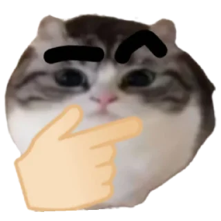 🤔 emoji Шарики , шарики , совсем заебали БЛЯЯЯЯЯЯ Telegram sticker 18 of 59