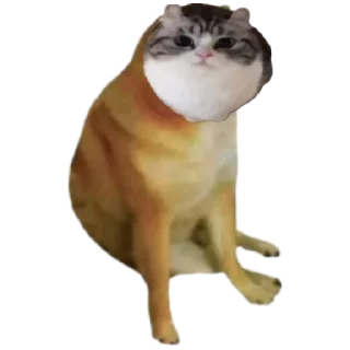 Sticker from Шарики , шарики , совсем заебали БЛЯЯЯЯЯЯ