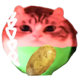 🥔 emoji Шарики , шарики , совсем заебали БЛЯЯЯЯЯЯ Telegram sticker 19 of 59
