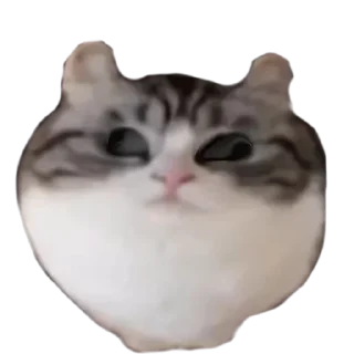 Sticker from ебучии шарики @Komaru_World