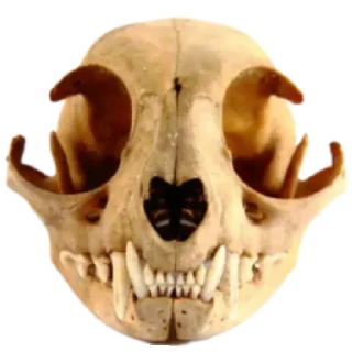 💀 emoji Шарики , шарики , совсем заебали БЛЯЯЯЯЯЯ Telegram sticker 6 of 59