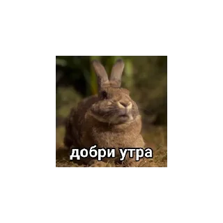 😄 emoji обед🏴‍☠️ Telegram sticker 8 of 30