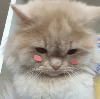 😔 emoji 🤫🌚👀🤥 — @stckrRobot Telegram sticker 18 of 51