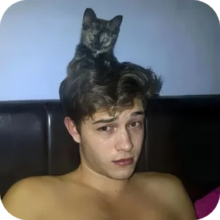🐈 emoji Деменция Telegram sticker 18 of 117