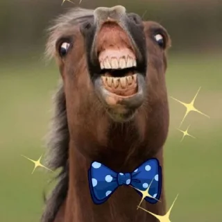 🐴 emoji Конь Telegram sticker 1 of 9