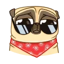 😎 emoji Penny Pug Telegram sticker 10 of 22