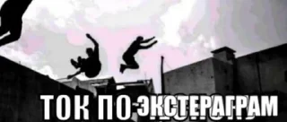 Sticker from Ток по экстераграм made by pavlotech