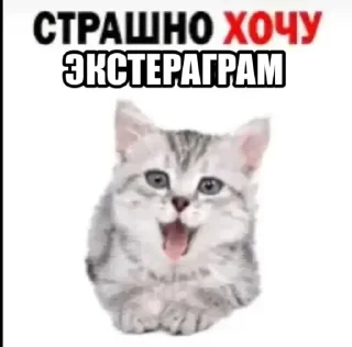 ✅ emoji ЭКСТЕРАГРАМ 2 | @bioflz Telegram sticker 12 of 13
