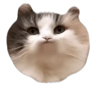 Sticker from Клуб любителей Комару by @CyberShlapa