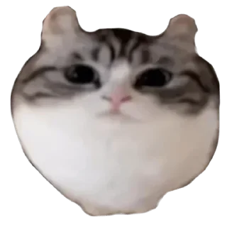 Sticker from Клуб любителей Комару by @CyberShlapa