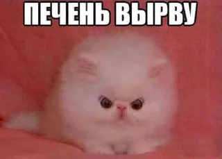 Sticker from пиздарики by @amiapiya