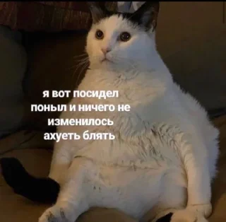 🤔 emoji Всратость Telegram sticker 17 of 101