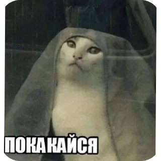 🖼 emoji Двп2 Telegram sticker 8 of 120
