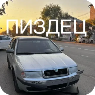 🫥 emoji SKODA AIRLINES Telegram sticker 8 of 27