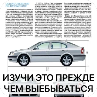 🫥 emoji SKODA AIRLINES Telegram sticker 20 of 27