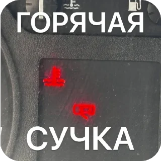 🫥 emoji SKODA AIRLINES Telegram sticker 10 of 27