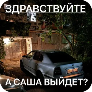 🫥 emoji SKODA AIRLINES Telegram sticker 11 of 27