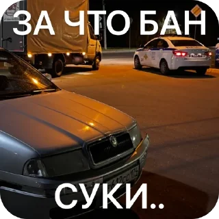 🫥 emoji SKODA AIRLINES Telegram sticker 18 of 27
