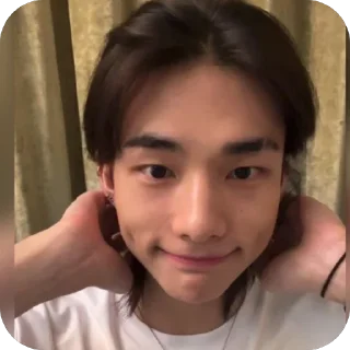 ☺️ emoji Hyunjin Telegram sticker 13 of 69
