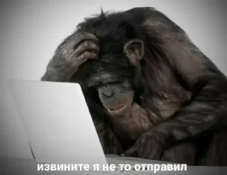 😔 emoji храни тебя бог Telegram sticker 10 of 88