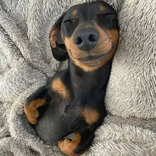 😊 emoji храни тебя бог Telegram sticker 6 of 88